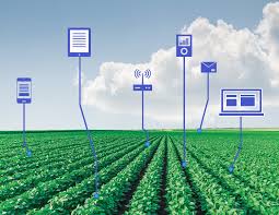 Quelatos Agrícolas Tendencias de crecimiento del mercado