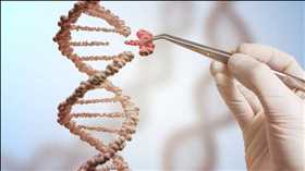 Demanda del mercado mundial de edición del genoma CRISPR