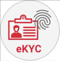 Perspectiva global del mercado de E-KYC