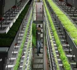 Tecnología de cultivo interior Mercado