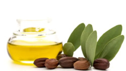 Aceite de jojoba Tendencias de crecimiento del mercado