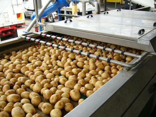 Procesamiento de patatas Pronóstico del mercado