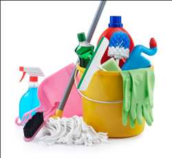 Mercado de productos de limpieza para el hogar