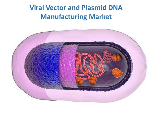 Mercado de fabricación de vectores virales y ADN plásmido