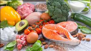 Alimentar grasas y proteínas Mercado