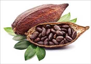 Pronóstico del mercado mundial de granos de cacao