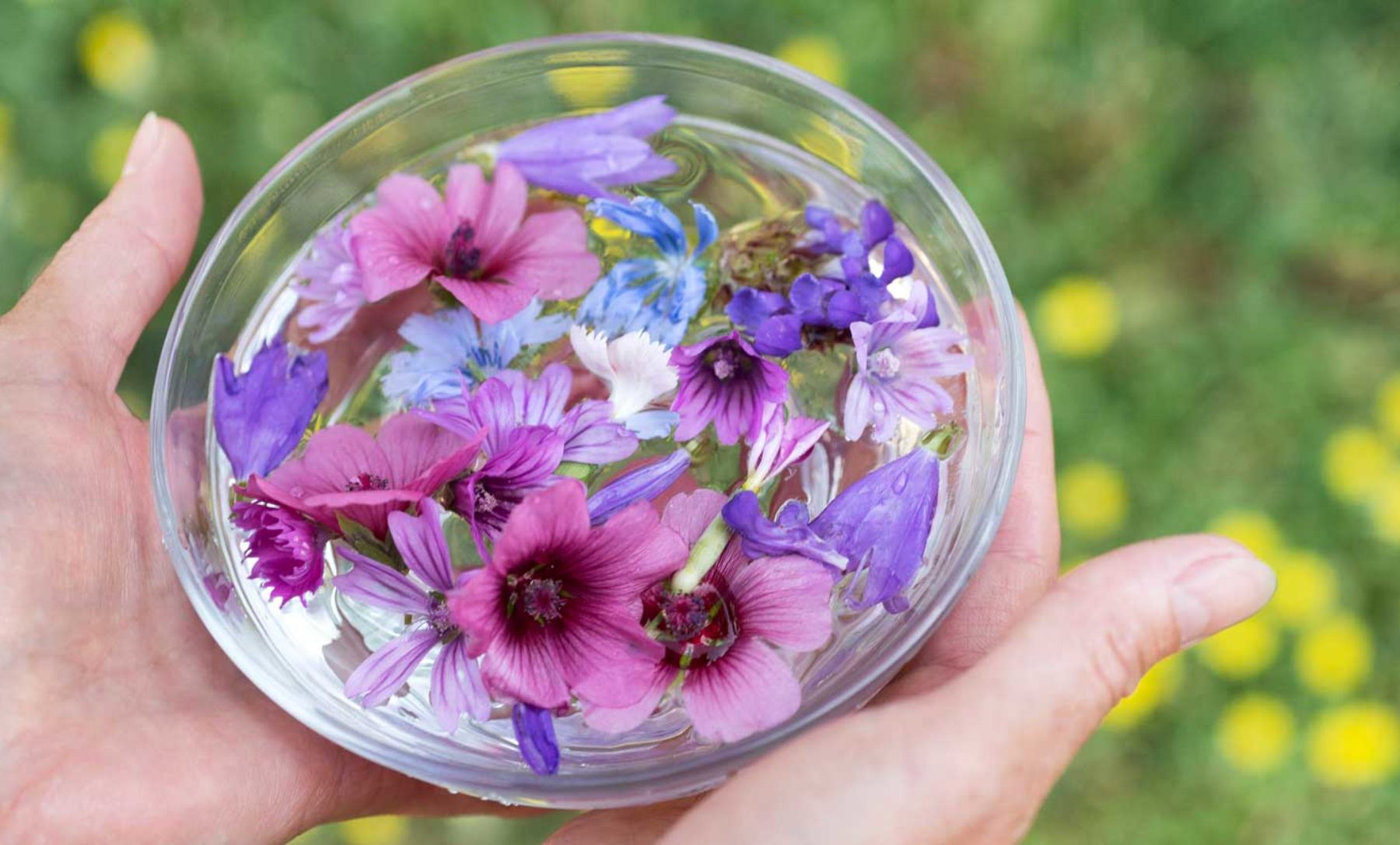 Crecimiento del mercado mundial de esencias florales