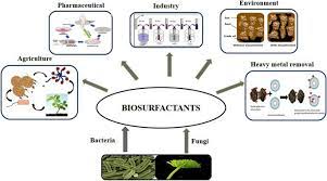 Pronóstico del mercado mundial de biosurfactantes a base de plantas