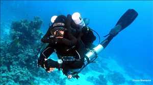 Rebreather global para análisis de mercado de buceo