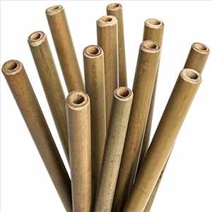 Oportunidades de mercado global Paja de bambú