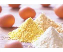 Crecimiento del mercado mundial de polvos de yema de huevo