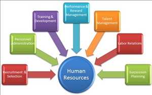 Mercado global de gestión de recursos humanos (HRM) Perspectiva global del mercado de gestión de recursos humanos (HRM)