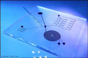 Análisis del mercado mundial de prototipos de microfluidos