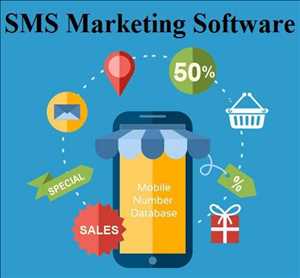 Pronóstico del mercado mundial de software de marketing por SMS