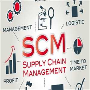 Crecimiento del mercado global de gestión de la cadena de suministro (SCM)