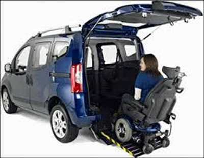 Convertidores de vehículos accesibles para sillas de ruedas Market